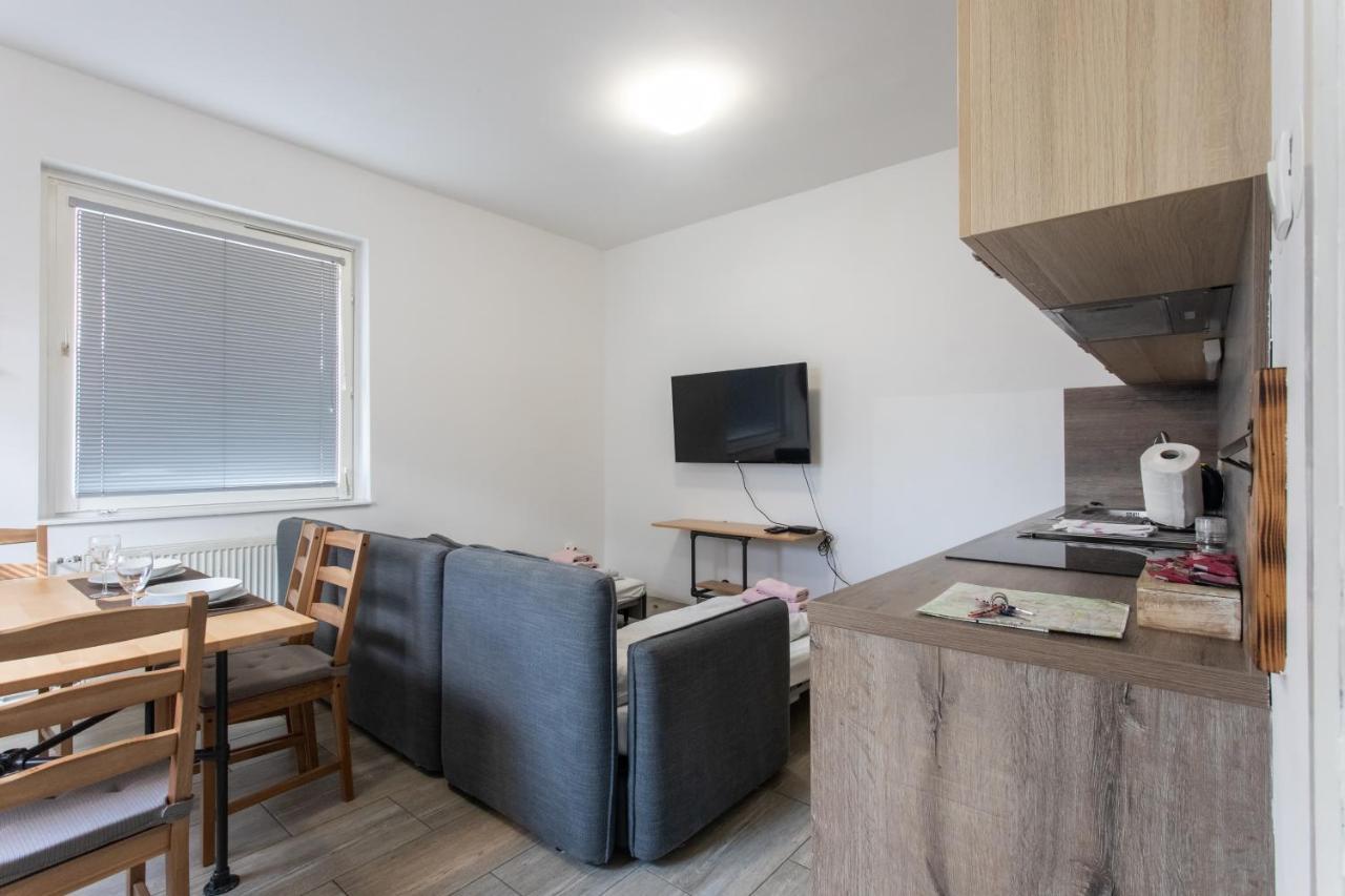 Big Pipe Apartment リュブリャナ エクステリア 写真